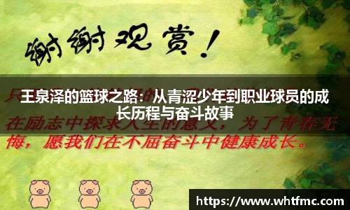 bsports官网 必一运动