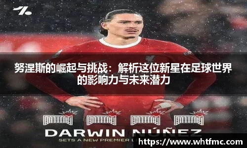 努涅斯的崛起与挑战：解析这位新星在足球世界的影响力与未来潜力